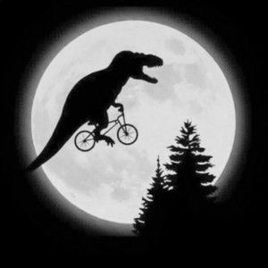 Meet your Posher, Kris